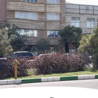 حاشیه-فکوری