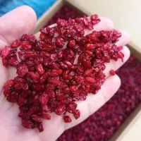 خشکبار و آرایشی بهداشتی