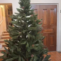 درخت کریسمس