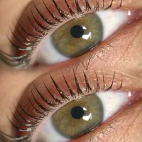 اکستنشن مژه ولیفت ولمینت مژه وابرو+بوتاکس طلایی|خدمات آرایشگری و زیبایی|مشهد, گلبرگ|دیوار