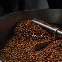 فروش عمده دانه قهوه رست شده