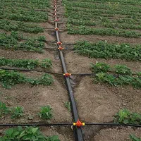 آبیاری قطره ای