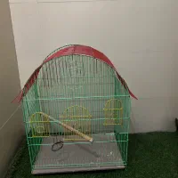 قفس