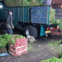 خاور813|خودرو سنگین|تهران, سلسبیل جنوبی|دیوار