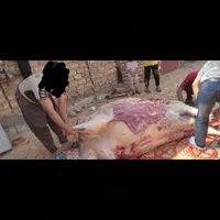 قصاب و سلاخ سیار(قصابی وسلاخی)ذبح گاو،گوسفند وبز|خدمات پذیرایی، مراسم|خرم‌آباد, |دیوار