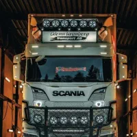 صد ور پر وا نه فعالیت