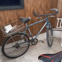 دوچرخه ۲۶ برند آساک مدل دماوند