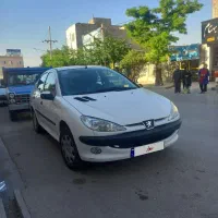 ۲۰۶ اس دی