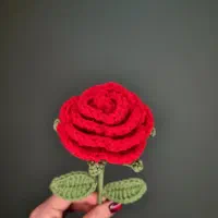 گل رز بافتنی