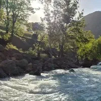 گشت وگذار