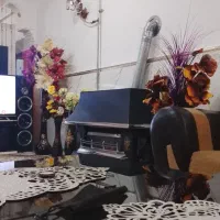 باند خانگی|سیستم صوتی خانگی|مشگین شهر, |دیوار