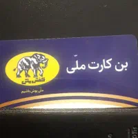 بن کارت کفش ملی