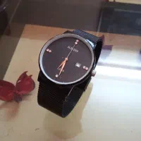 ۲عدد ساعت RADO / Calvin
