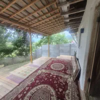 250 ویلا جنگلی