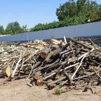 کارگر ساده ولی کاری