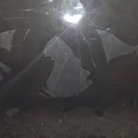 وسایل پارس مشکی