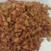 کشمش آفتابی