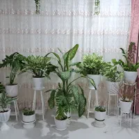 گل‌های فوق‌العاده زیبا