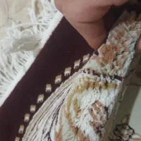 سه عدد ۱۲ متری جفت|فرش|قیدار, |دیوار