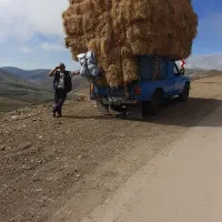 کاه یا سرچینه|لوازم جانبی حیوانات|تالش, تالش|دیوار