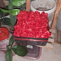 گل ربانی قرمز