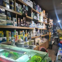 اکواریوم ماهی اب شور دیسکس ابشور انجل گوپی|ماهی|شیراز, گود عربان|دیوار