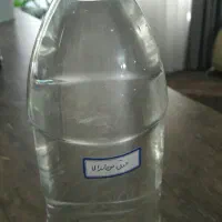 عرق بومادران،کاسنی،شاتره خانگی