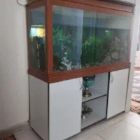 اکواریوم ۱۲۰ سانتی