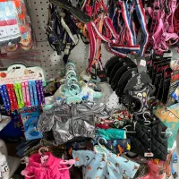 قلاده لباس هودی کاپشن کتفی گردنی زنجیر بند لید|لوازم جانبی حیوانات|مشهد, گلبرگ|دیوار