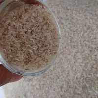 برنج و نیم دانه هاشمی روشن