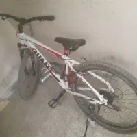 دوچرخه گم شده