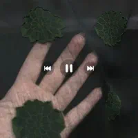 کراس|لوازم خیاطی و بافتنی|جوانرود, |دیوار