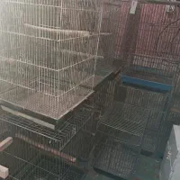 تعدادی قفس پرنده دست دوم