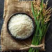 برنج هاشمی|خوردنی و آشامیدنی|تهران, آهنگ|دیوار