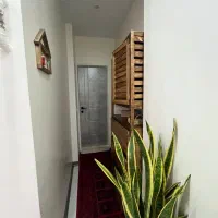 ۷۰ متر/نوساز /تک واحدی /شکوفه عارف شمالی|اجارهٔ آپارتمان|تهران, شکوفه|دیوار