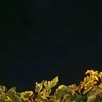 راهنمایی