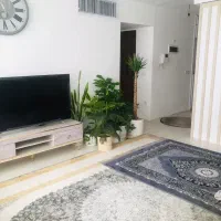 منزل-اپارتمان-در-ایام-عید