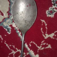 سکه قدیمی|کلکسیون اشیاء عتیقه|مینودشت, |دیوار