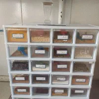 جاادویه سالم