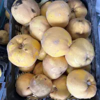 به محلی خوشرنگ و شیرین|خوردنی و آشامیدنی|شاهینشهر, عطار|دیوار