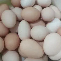 تخم مرغ محلی‌ تازه