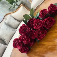 شاخه گل های زیبا