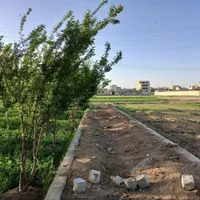زمین باغی ، باغ ، زمین کشاورزی|فروش زمین و ملک کلنگی|اصفهان, خرم|دیوار