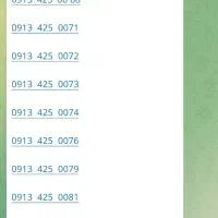 0913.256.256|سیمکارت|یزد, |دیوار