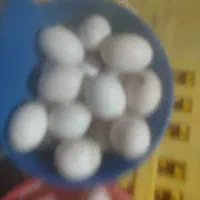 تخم کفتر