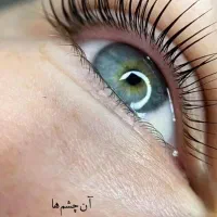 آموزش آرایشگری با مدرک فنی با تخفیف طلایی آبنوس|خدمات آرایشگری و زیبایی|کرمان, |دیوار