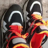 کفش سایز ۴۱|کیف، کفش، کمربند|رامند, |دیوار