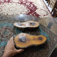 شلف دیواری طرح تنه درخت (کنده درخت )رزین شده|کتابخانه، شلف، قفسههای دیواری|فردیس, شهرک شهید حسینی|دیوار