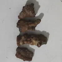 فروش حجره کریمه (سنگ کریمه)خواص شگفت انگیز