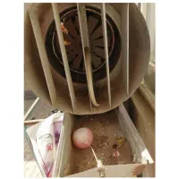 دستگاه مه پاش ودما سنج ورطوبت سنج سالن قارچ